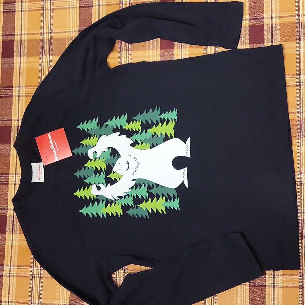 🆕️Hanna Andersson long sleeves top